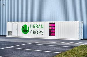 Urban Crops