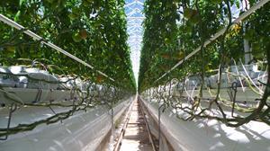 KE-GrowAir & Orange Climate Agri